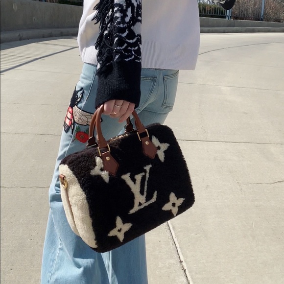 Louis Vuitton Shearling Teddy Speedy 25 - Picture 3 of 13